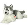 Teddy HERMANN® Husky Liegend 60 Cm